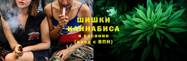 дживик Козловка