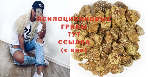 дживик Козловка