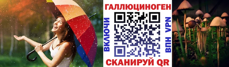 Галлюциногенные грибы Magic Shrooms  Черкесск 