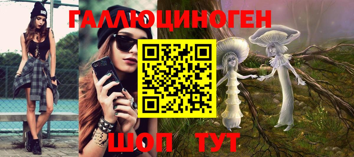 Галлюциногенные грибы Psilocybe  Вход с VPN  Псилоцибиновые грибы MAGIC MUSHROOMS  Черкесск 